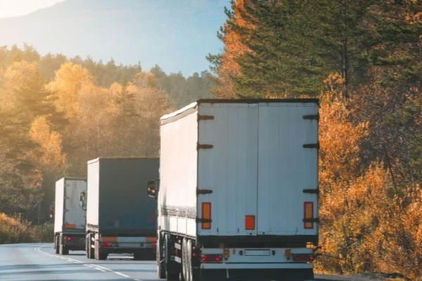 Ankara Aslanapa Nakliyat